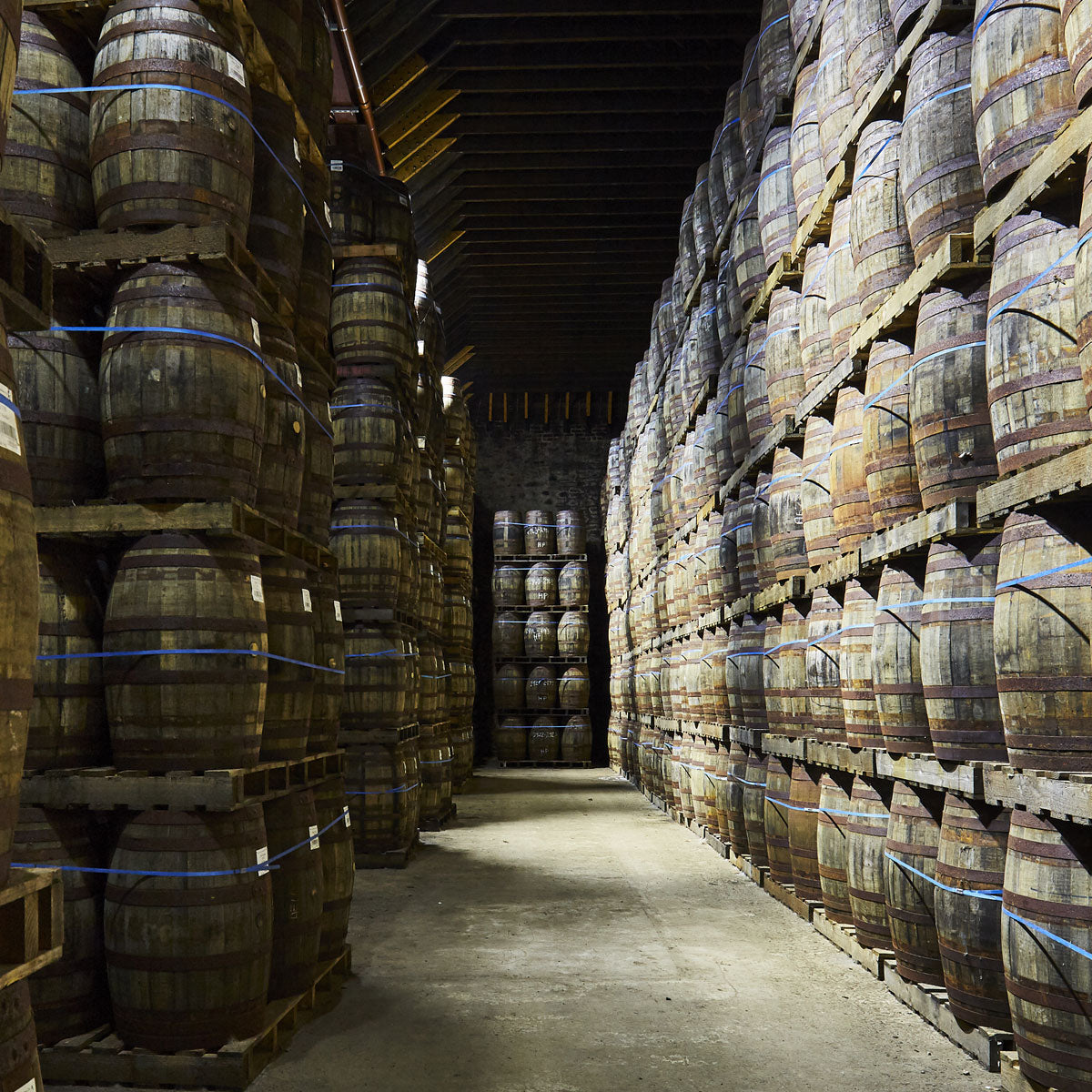 campbeltown whisky tours